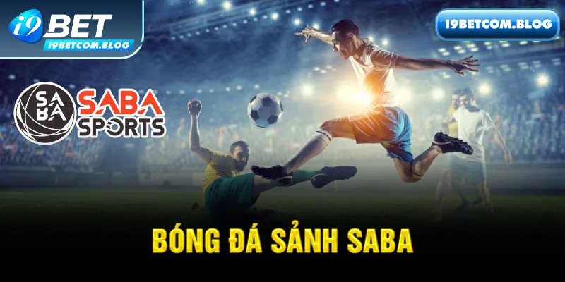 Khám Phá Bóng Đá Saba i9bet - Hấp Dẫn Và Độc Đáo