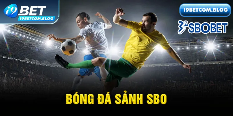 Sảnh Bóng Đá SBO i9bet - Tỷ Lệ Cược Cạnh Tranh Nhất